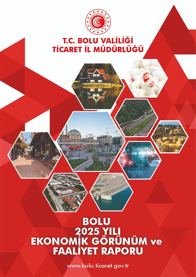 BOLU İLİ 2025 YILI EKONOMİK GÖRÜNÜM VE FAALİYET RAPORU